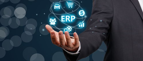 企业ERP系统的正确运用与软件开发策略